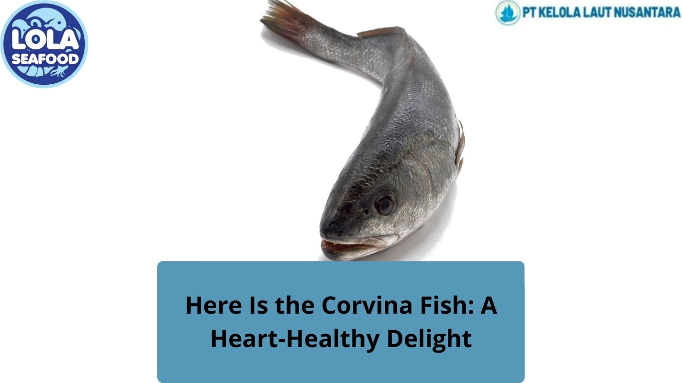 Here Is the Corvina Fish: A Heart-Healthy Delight